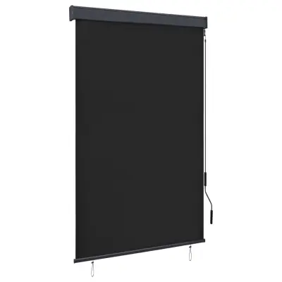 vidaXL Zunanje rolo senčilo 120x250 cm antracitno