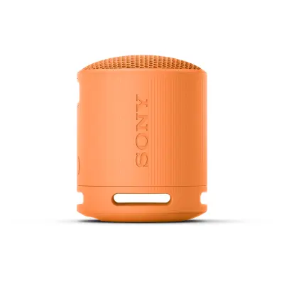 SRSXB100D.CE7 Sony