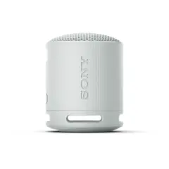 SRSXB100H.CE7 Sony