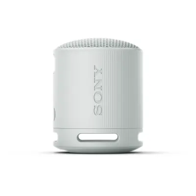 SRSXB100H.CE7 Sony