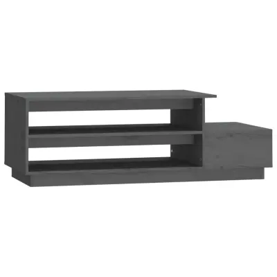 vidaXL Klubska mizica siva 120x50x40,5 cm trdna borovina