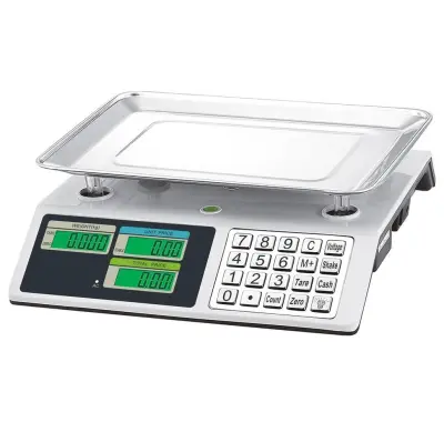 Inox digitalna elektronska tehtnica do 50kg – osvetljena LCD