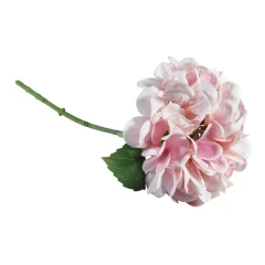 Hortenzija, sv.roza, 33cm