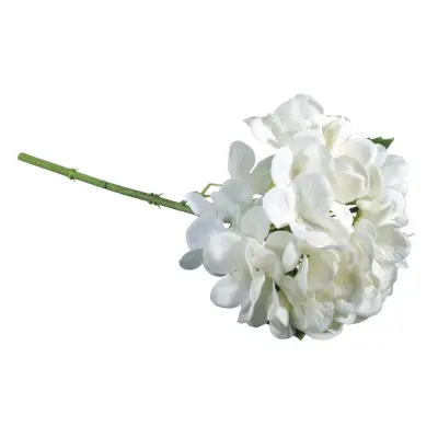 Hortenzija, bela, 33cm