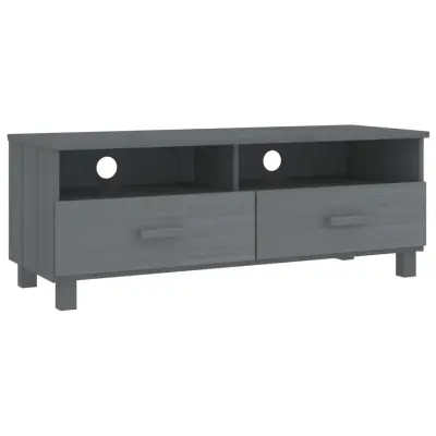 vidaXL TV omarica HAMAR temno siva 106x40x40 cm trdna borovina