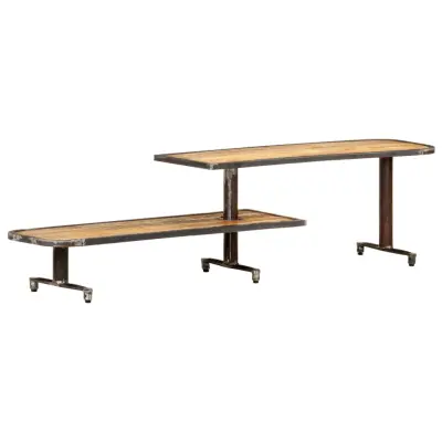 vidaXL TV omarica 160x30x40 cm trden mangov les