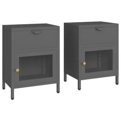 vidaXL Nočna omarica 2 kosa antracitna 40x30x54,5 cm jeklo in steklo