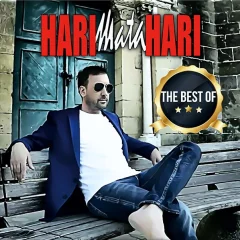 HARI MATA HARI - LP/THE BEST OF HARI MATA HARI