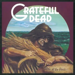 GRATEFUL DEAD - LP/WAKE OF THE FLOOD (180G)