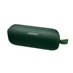 SOUNDLINK FLEX CYPRESS GREEN