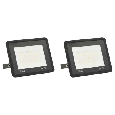 vidaXL LED reflektor 2 kosa 50 W toplo bel