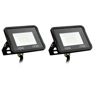 vidaXL LED reflektor 2 kosa 10 W hladno bel