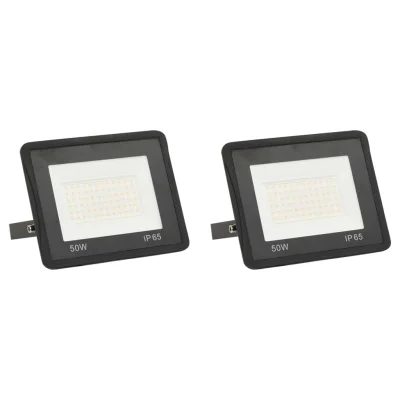 vidaXL LED reflektor 2 kosa 50 W hladno bel