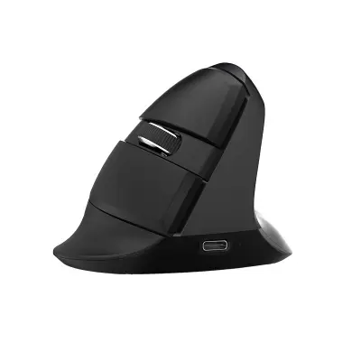 Brezžična navpična miška Delux M618Mini BT+2.4G RGB 4000DPI (črna)