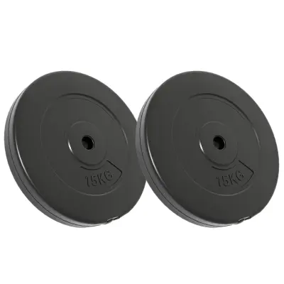 vidaXL Uteži 2 kosa 30 kg cement