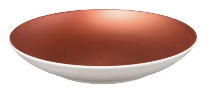 PLITVA SKLEDA 23cm V&B