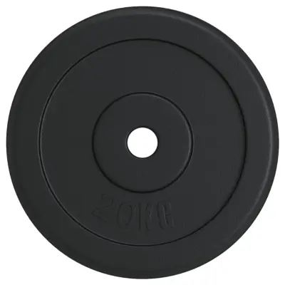 vidaXL Utež 20 kg lito železo