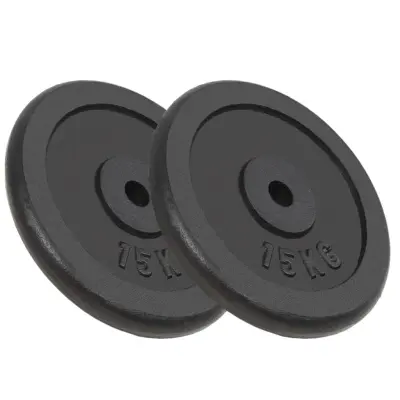 vidaXL Uteži 2 kosa 2x15 kg lito železo