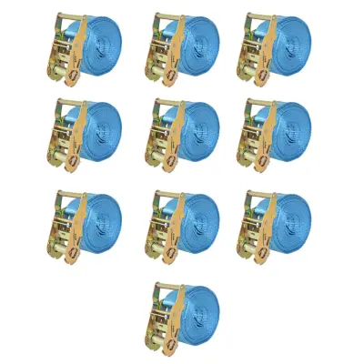vidaXL Tovorni vezni trak 10 kosov 2 toni 6mx38mm modre barve