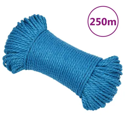 vidaXL Delovna vrv moder 6 mm 250 m polipropilen