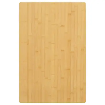 vidaXL Mizna plošča 60x100x2,5 cm bambus