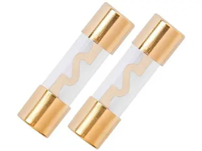 Varovalka CARMOTION pozlačena 40A, 2kom