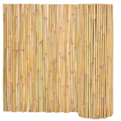 vidaXL Ograja iz bambusa 300x100 cm