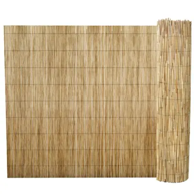 vidaXL Vrtna ograja iz trsja 500x100 cm