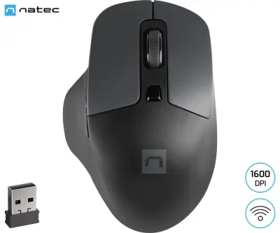 NATEC BLACKBIRD 2 brezžična miška, ergonomska, USB 2.4GHz, 1600DPI, 6 gumbov, tiha stikala, 1x AA baterija, optični senzor, teflonski drsniki, črna