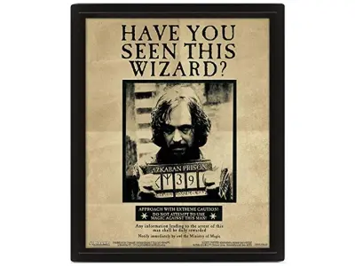 Pyramid International Harry Potter Sirius Black 3d lentikularni plakat 25 cm x 20cm x 1,3cm v okvirju škatle - uradno blago
