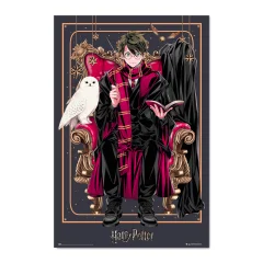 PLAKAT ČAROVNIK HARRY POTTER DINASTIJA HARRY POTTER