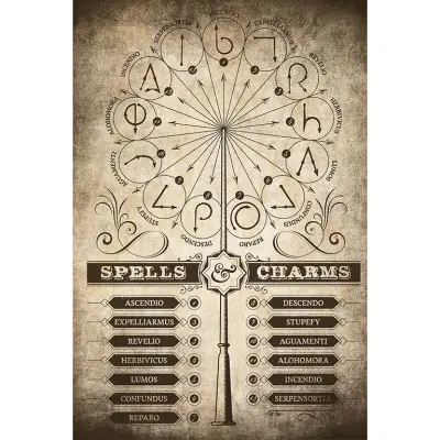 PLAKAT HARRY POTTER HECHIZOS Y ENCANTAMIENTOS