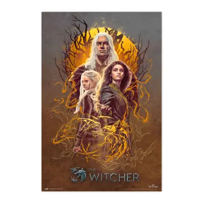 PLAKAT THE WITCHER 2 GRUPO