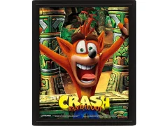 Activision Crash Bandicoot (Maska Power Up) 10 x 8inch 3D lentikularni plakat