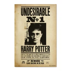 PLAKAT HARRY POTTER NEZAŽELEN N1