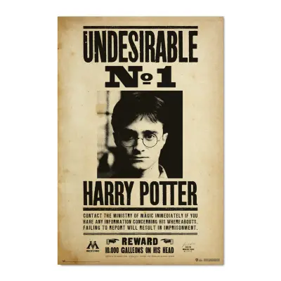 PLAKAT HARRY POTTER NEZAŽELEN N1