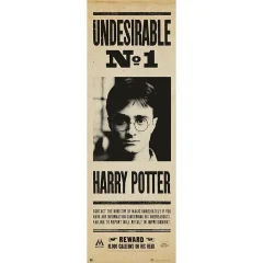 PLAKAT PUERTA HARRY POTTER NEZAŽELEN N§1