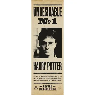 PLAKAT PUERTA HARRY POTTER NEZAŽELEN N§1