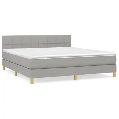 vidaXL Box spring postelja z vzmetnico svetlo siva 160x200 cm žamet
