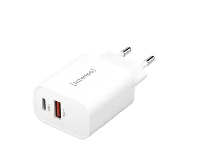Intenso 30W napajalnik z USB-C in USB-A W30AC