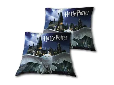 Aymax Harry Potter Hedwige in Hogwarts Blap