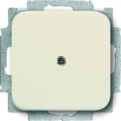 Busch-Jaeger sredinska plošča ws s podpornim obročem 2538-212