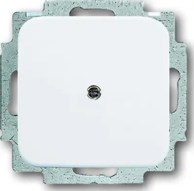 Busch-Jaeger Slepa sredinska plošča aws s podpornim obročem 2538-214