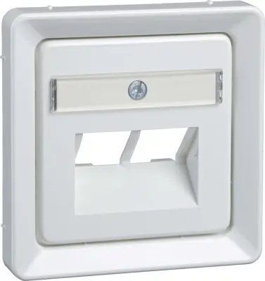 Elso centralna plošča rw UAE 2xRJ45,Rutenbeck 206534