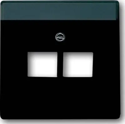 Busch-Jaeger sredinska plošča anth f.UAE priključek do.2f 1803-02-81