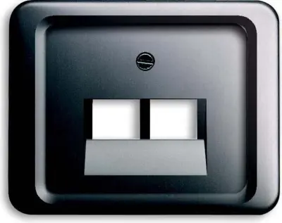 Busch-Jaeger Centralna plošča pla za priključno vtičnico UAE 2f 1803-02-20