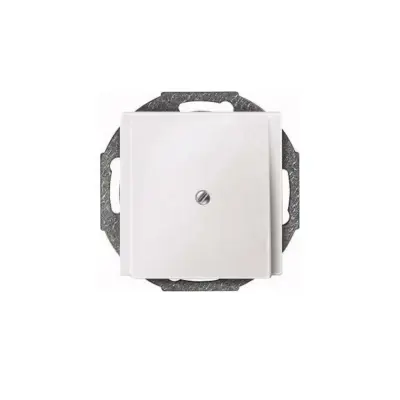 Merten osrednja plošča pws kabelska vtičnica 295619