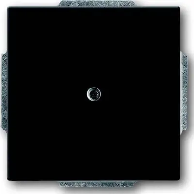 Busch-Jaeger Centralni disk anth slepi pokrov s podpornim obročem 1742-81