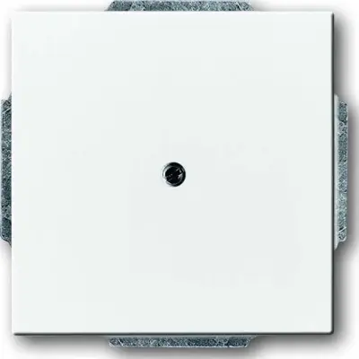 Busch-Jaeger Centralni disk dav/sws slepi izhod s podpornim obročem 1742-84