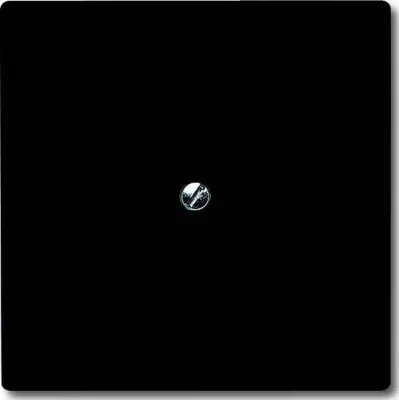 Busch-Jaeger slepa središčna plošča anth s podpornim obročem 2138-35